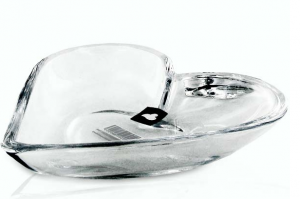 dish